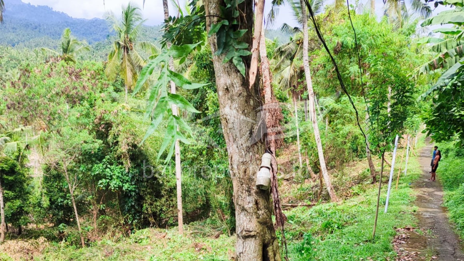 Tanah Kavling Batu Agung, Negara Bali